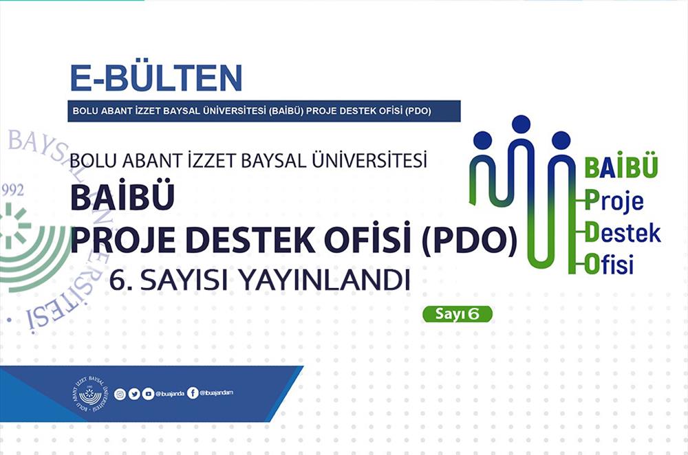 6. Sayı
